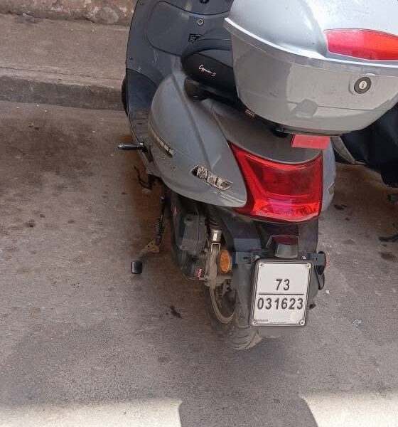 Livreur professionnel